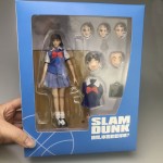 Dasin  Slam Dunk -  Akagi Haruko