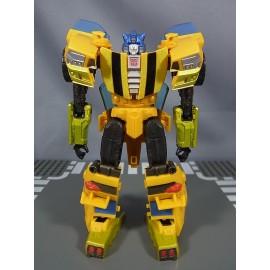 Transformers Generations TG-26 Bumblebee Gold Bug