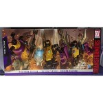 Transformers Platinum Edition Generation 1 Reissue Insecticons