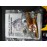 DX9 D06 Carry  +  DX9 D07 Tyrant  (USED)